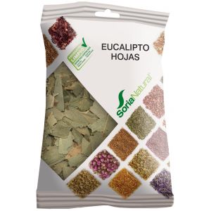 Eucalipto en hojas