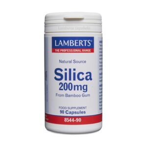 Lamberts Silicio