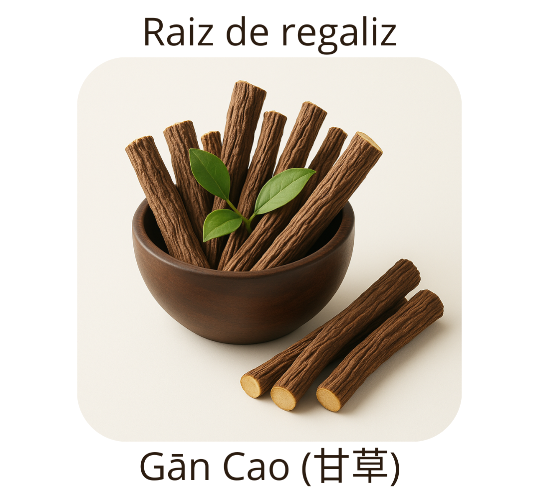 La Raiz de regaliz