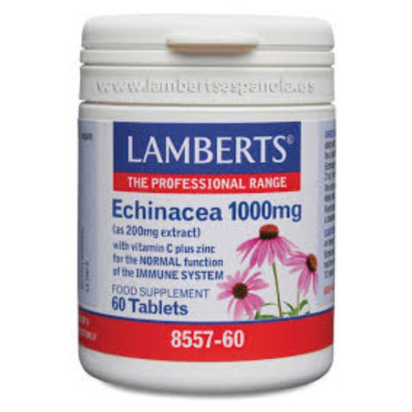 Echinacea 1000 mg de lamberts 300925
